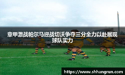 意甲激战帕尔马迎战切沃争夺三分全力以赴展现球队实力